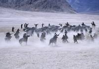 Кадр Долина цветов