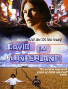 Давид в стране чудес