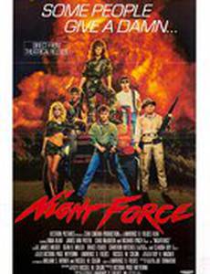 Ночной отряд (видео)