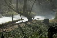 Кадр Дневники вампира