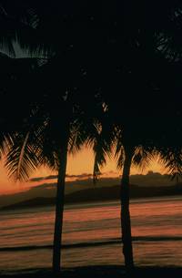 Кадр Возвращение в Голубую лагуну