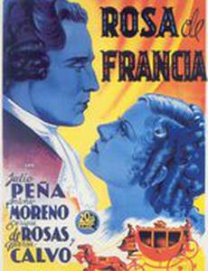 Роза Франции