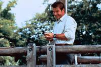 Кадр Из жизни тайных агентов