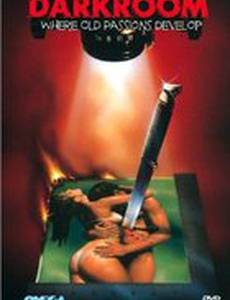 Фотолаборатория