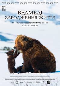 Постер Медведи Камчатки. Начало жизни