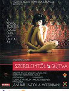 Наказанная любовью