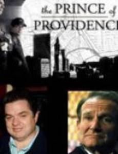 Князь провидения