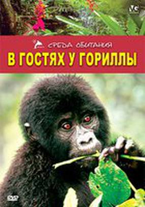 В гостях у гориллы