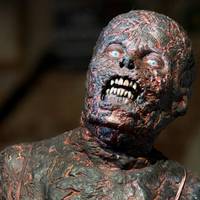 Кадр Ходячие мертвецы