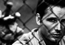 Питер Фачинелли снимет фильм о бостонской банде Уайти Балджера