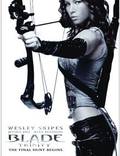 Постер из фильма "Блэйд 3: Троица" - 1