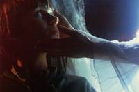 Кадр Звук и ярость