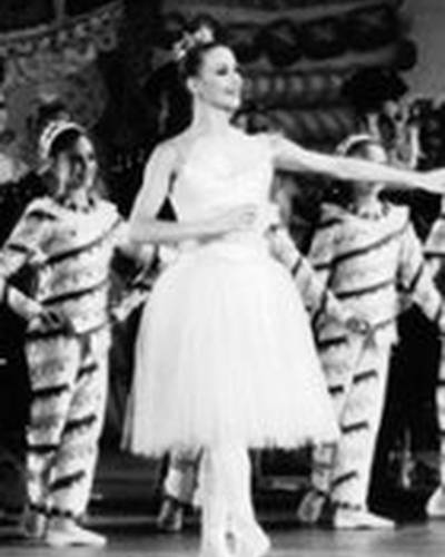 Дарси Кистлер фото