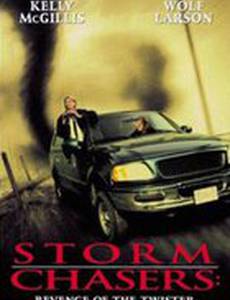 Погоня за смерчем