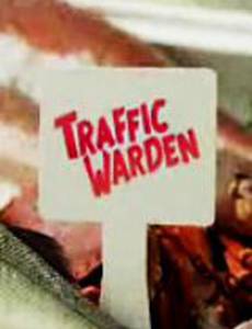 Инспектор дорожного движения