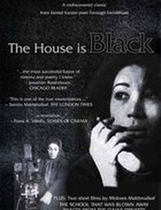 Дом – черный