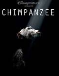 Постер из фильма "Шимпанзе" - 1