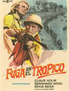 Flucht in die Tropennacht