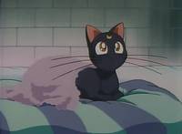 Кадр Красавица-воин Сейлор Мун Эс