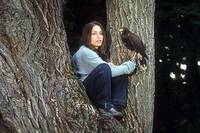 Кадр Вас не догонят