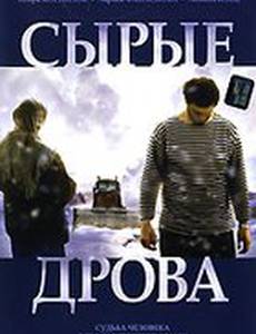 Сырые дрова
