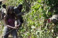 Кадр Ходячие мертвецы