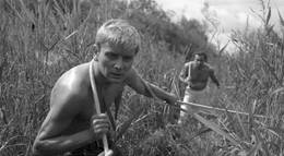 Кадр из фильма "Нож в воде" - 2