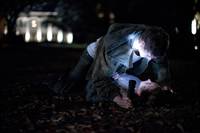 Кадр Гостья