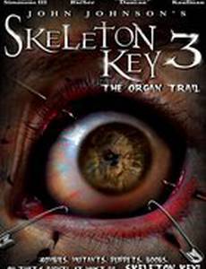 Отмычка 3 (видео)