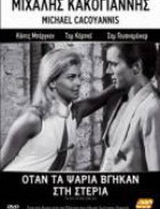 День, когда всплыла рыба