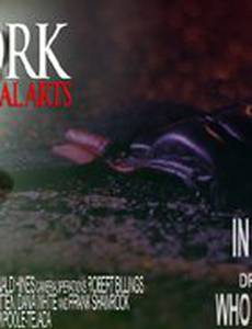 New York Mixed Martial Arts