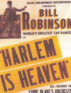 Harlem Is Heaven