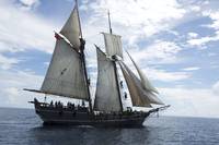 Кадр Череп и кости