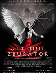 Последний полёт