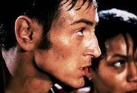 Кадр Осиное гнездо