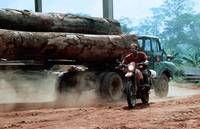 Кадр African Timber