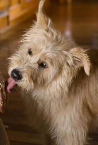 Кадр Снова ты