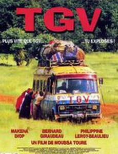 Скорый поезд