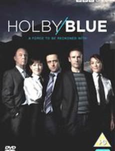 Полиция Холби