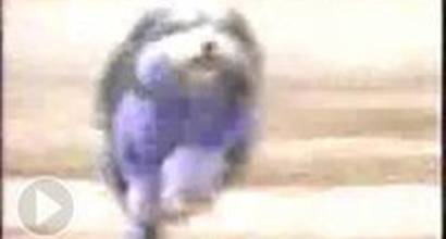 Вступительные титры