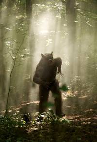 Кадр Быть человеком