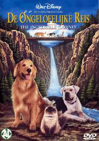 Постер Дорога домой: Невероятное путешествие