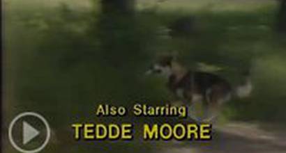 Вступительные титры