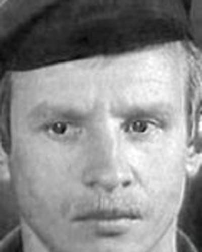 Владимир Волков фото