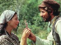 Кадр Скрипач на крыше