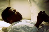 Кадр Девять жизней