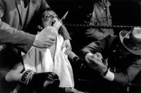 Кадр Рокки 6