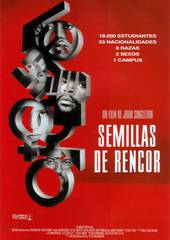 Высшее образование