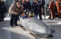 Кадр Крутые виражи