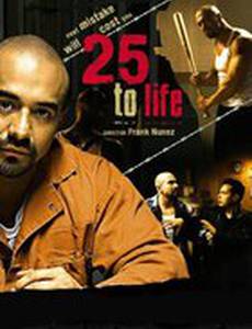 25 to Life (видео)